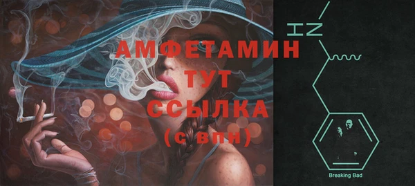 Альфа ПВП Каменка