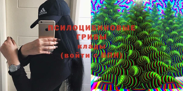 Альфа ПВП Каменка