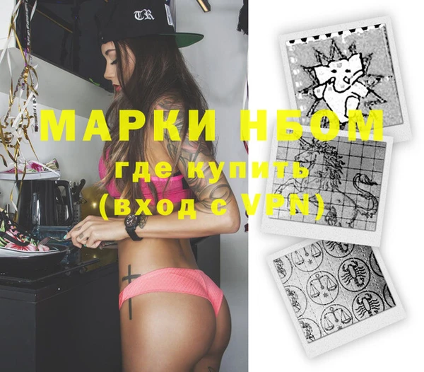 стафф Каменногорск