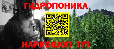 твердый Новозыбков