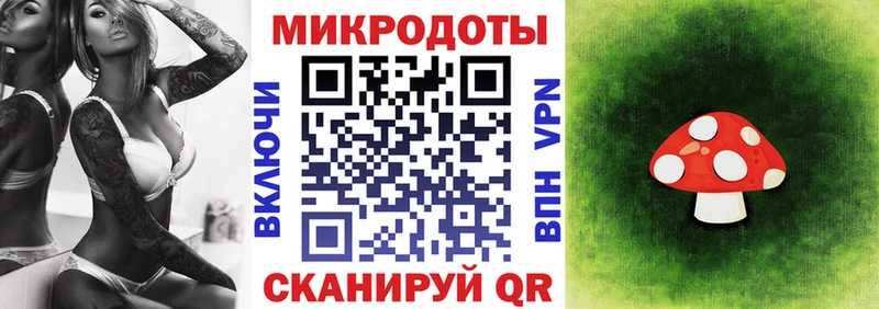 Псилоцибиновые грибы Psilocybe  Находка 