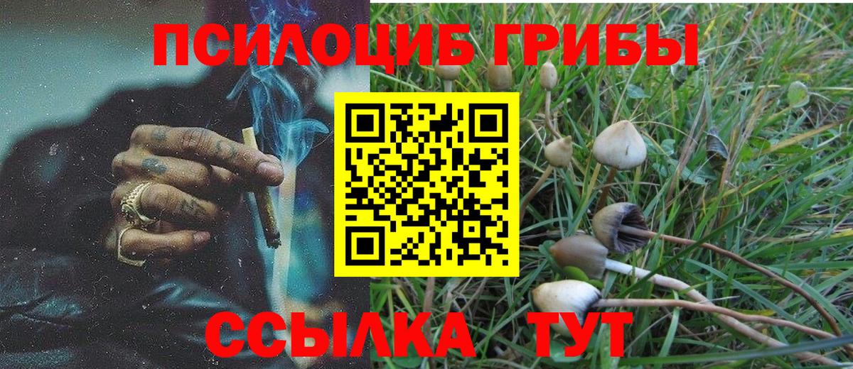 Псилоцибиновые грибы мицелий Находка