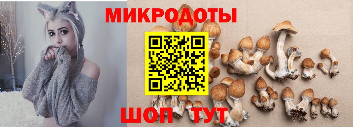 Псилоцибиновые грибы мухоморы  Вход с VPN  Галлюциногенные грибы Psilocybe  Находка 